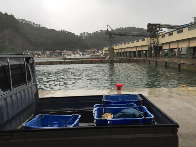 21 8 13 今日は朝から雨が降っています 海も静かになりました 砂浜も波で洗われて綺麗になりました 丸世井